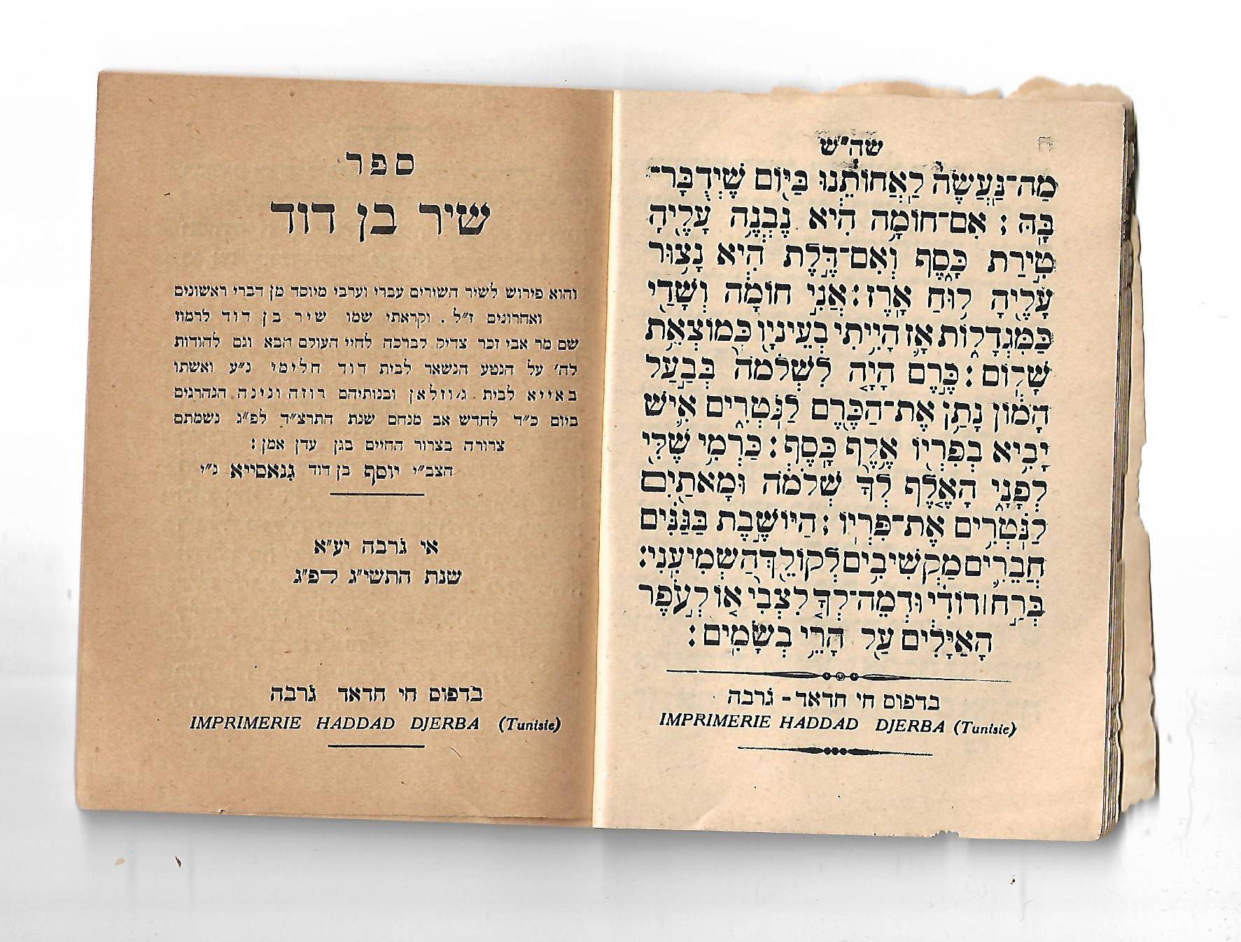 שיר בן דוד רנסיה